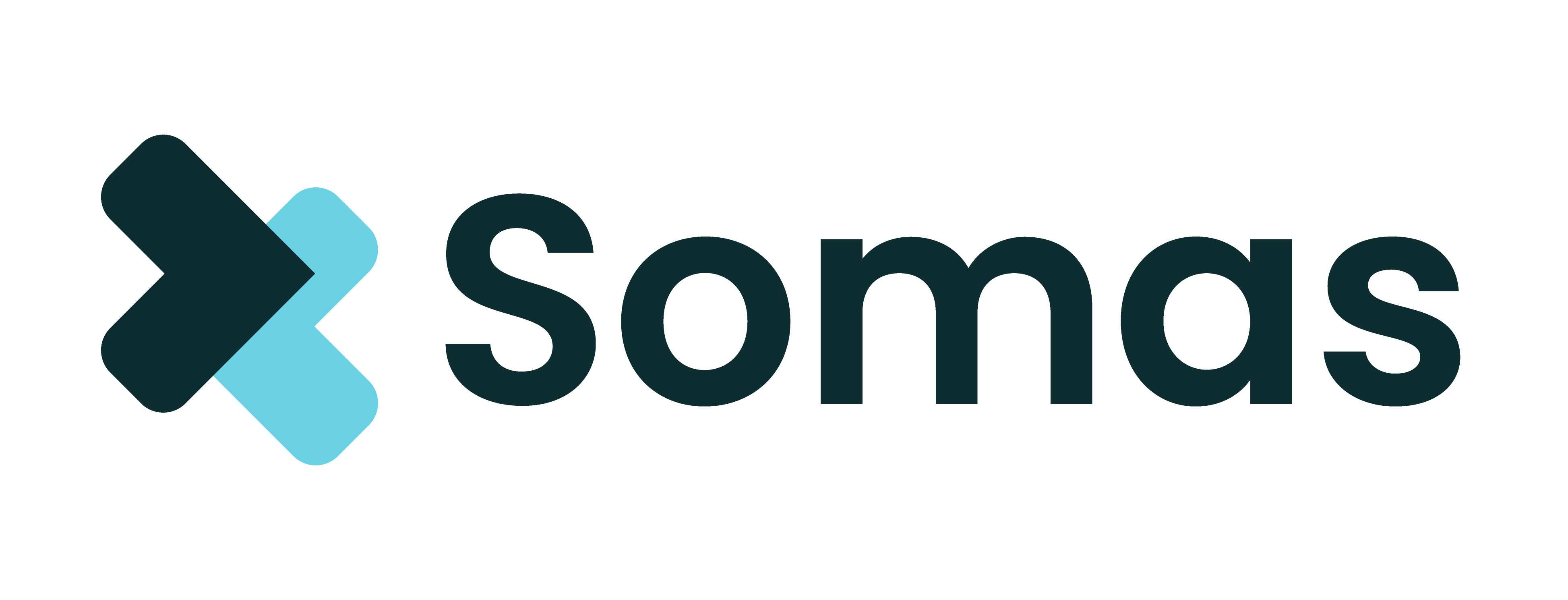 Logo Somas